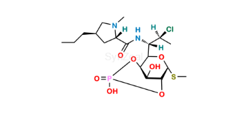 media.product.imagealternatetextformat