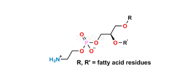 Picture of Phosphatidylethanolamine