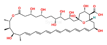 Picture of Amphoteronolide B