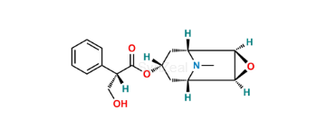 media.product.imagealternatetextformat