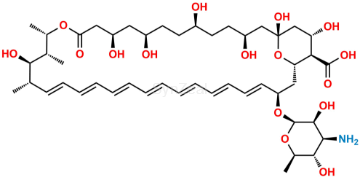 Picture of Amphotericin B Impurity 1