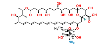 Picture of Amphotericin B-13C6