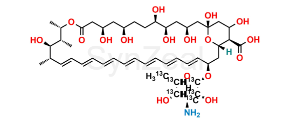 Picture of Amphotericin B-13C6