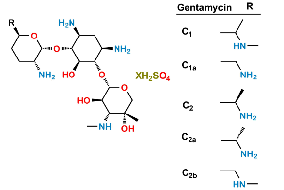 Picture of Gentamicin Sulfate